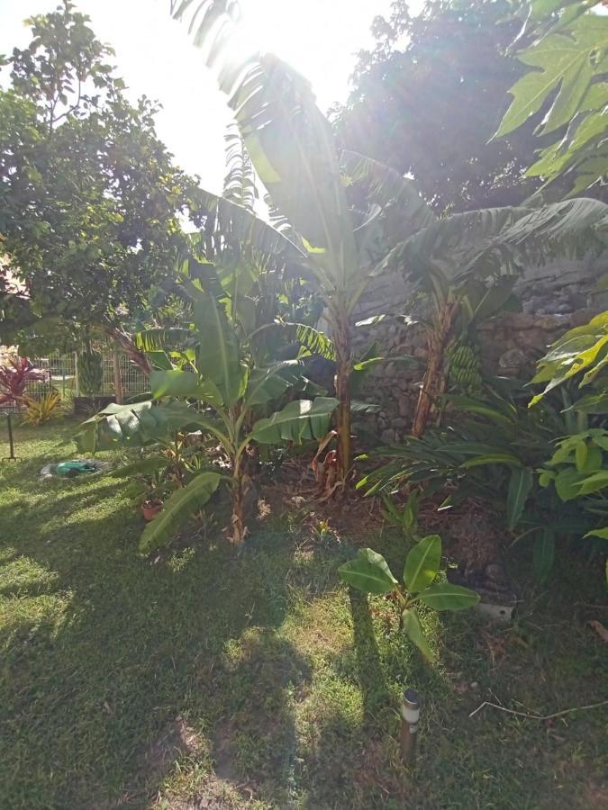 Apartament Le Goyavier Saint-Pierre Zewnętrze zdjęcie